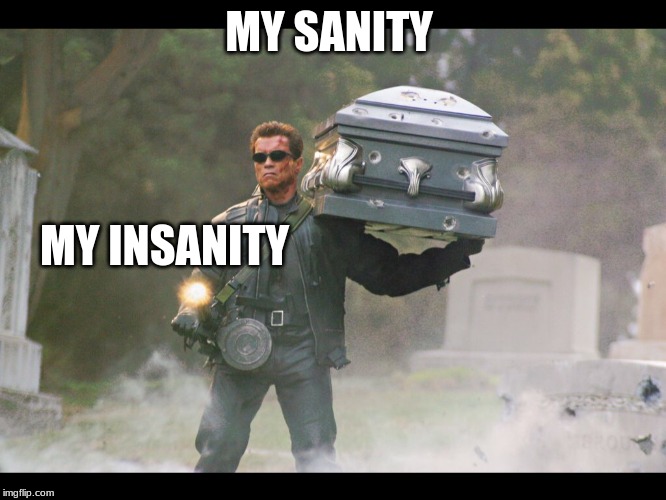 Terminator funeral | MY SANITY; MY INSANITY | image tagged in terminator funeral | made w/ Imgflip meme maker