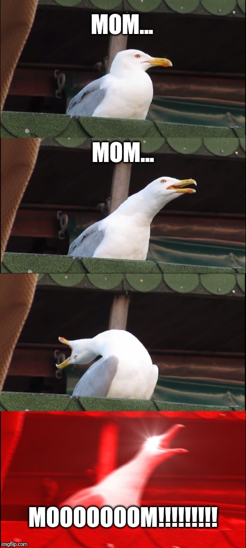 Inhaling Seagull |  MOM... MOM... MOOOOOOOM!!!!!!!!! | image tagged in memes,inhaling seagull | made w/ Imgflip meme maker