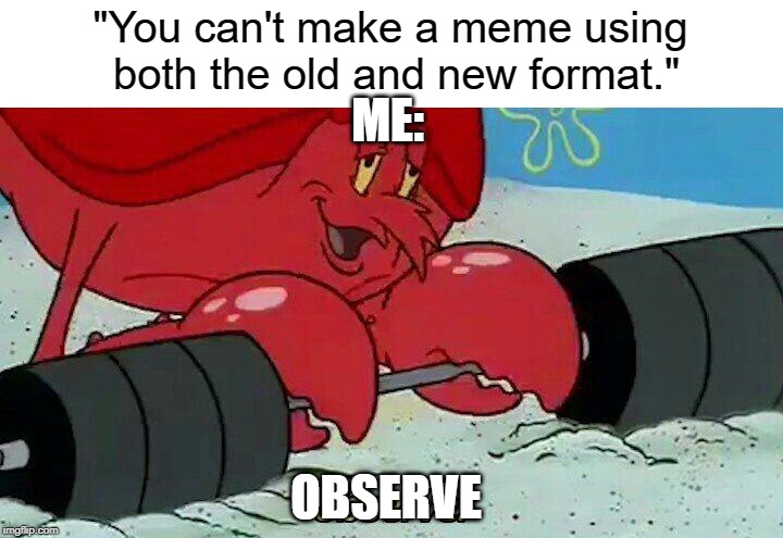 Observe | "You can't make a meme using both the old and new format."; ME:; OBSERVE | image tagged in observe,old format,new format | made w/ Imgflip meme maker