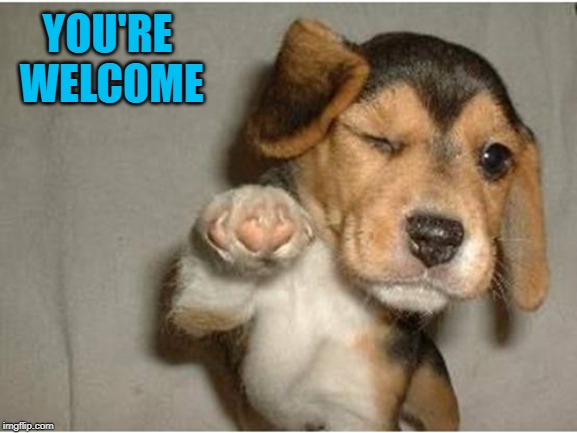 YOU'RE WELCOME | made w/ Imgflip meme maker