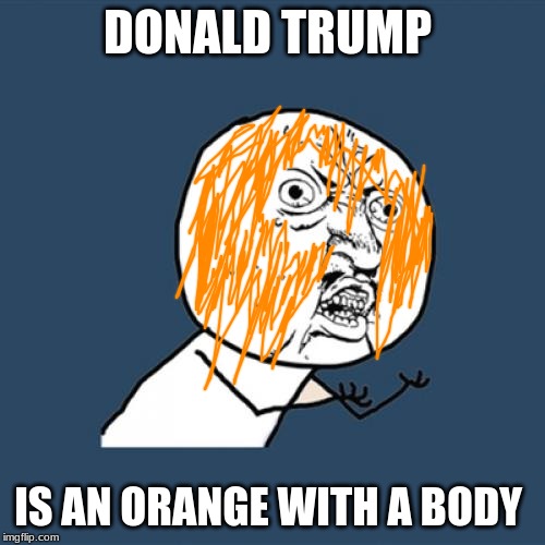 Y U No | DONALD TRUMP; IS AN ORANGE WITH A BODY | image tagged in memes,y u no | made w/ Imgflip meme maker