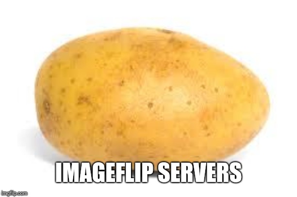 Potato | IMAGEFLIP SERVERS | image tagged in potato | made w/ Imgflip meme maker