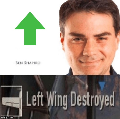 Left wing destroyed | image tagged in left wing destroyed | made w/ Imgflip meme maker