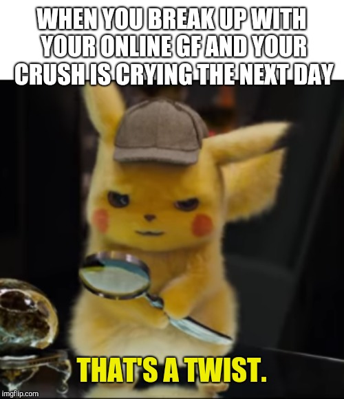 Don't you hate when this happens? | WHEN YOU BREAK UP WITH YOUR ONLINE GF AND YOUR CRUSH IS CRYING THE NEXT DAY | image tagged in that's a twist | made w/ Imgflip meme maker