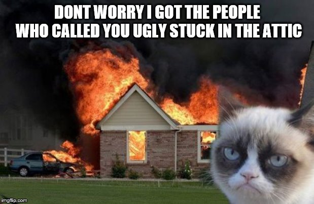 Burn Kitty Meme | DONT WORRY I GOT THE PEOPLE WHO CALLED YOU UGLY STUCK IN THE ATTIC | image tagged in memes,burn kitty,grumpy cat | made w/ Imgflip meme maker