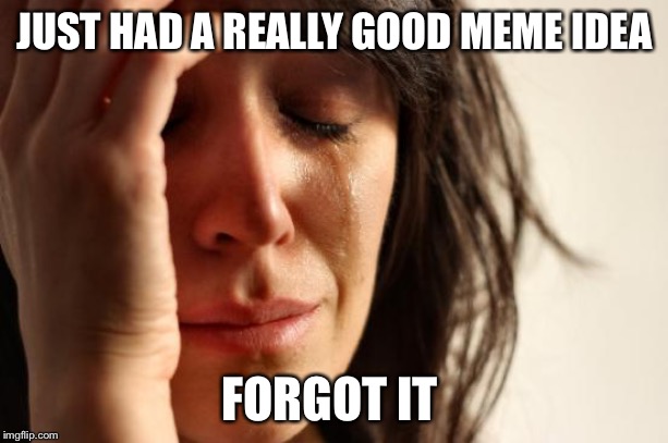 First World Problems Meme | JUST HAD A REALLY GOOD MEME IDEA; FORGOT IT | image tagged in memes,first world problems | made w/ Imgflip meme maker