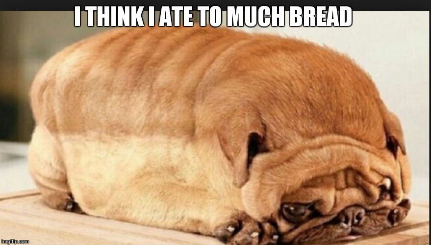 I THINK I ATE TO MUCH BREAD | image tagged in memes about memes | made w/ Imgflip meme maker