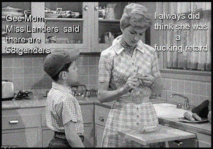 Miss Landers was hot...but a retard | image tagged in leave it to beaver,june cleaver,lol so funny,lgbtq,gay pride,politics lol | made w/ Imgflip meme maker