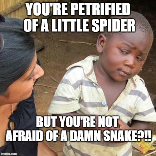 Third World Skeptical Kid Meme | YOU'RE PETRIFIED OF A LITTLE SPIDER; BUT YOU'RE NOT AFRAID OF A DAMN SNAKE?!! | image tagged in memes,third world skeptical kid | made w/ Imgflip meme maker