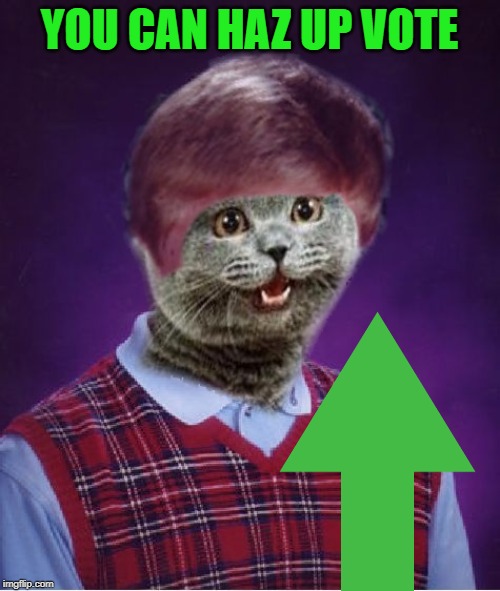 I haz Bad Luck | YOU CAN HAZ UP VOTE | image tagged in i haz bad luck | made w/ Imgflip meme maker
