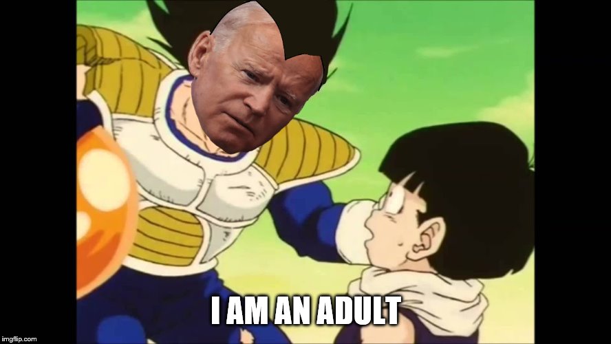 I need an adult? | I AM AN ADULT | image tagged in memes,joe biden,i am an adult,dragon ball z | made w/ Imgflip meme maker