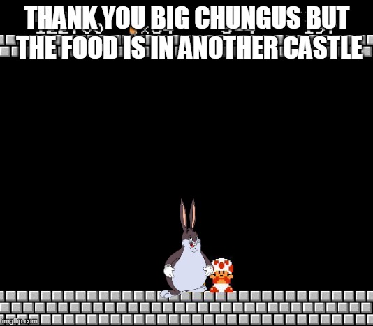 Thank You Mario | THANK YOU BIG CHUNGUS BUT THE FOOD IS IN ANOTHER CASTLE | image tagged in thank you mario | made w/ Imgflip meme maker