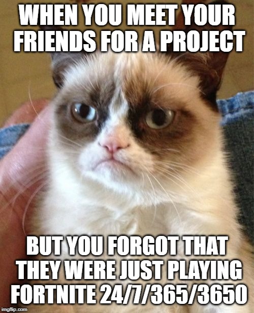 Grumpy Cat Meme | WHEN YOU MEET YOUR FRIENDS FOR A PROJECT; BUT YOU FORGOT THAT THEY WERE JUST PLAYING FORTNITE 24/7/365/3650 | image tagged in memes,grumpy cat | made w/ Imgflip meme maker