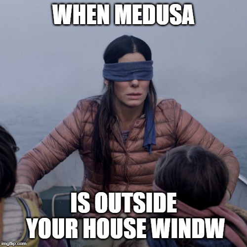 Bird Box Meme | WHEN MEDUSA; IS OUTSIDE YOUR HOUSE WINDW | image tagged in memes,bird box | made w/ Imgflip meme maker
