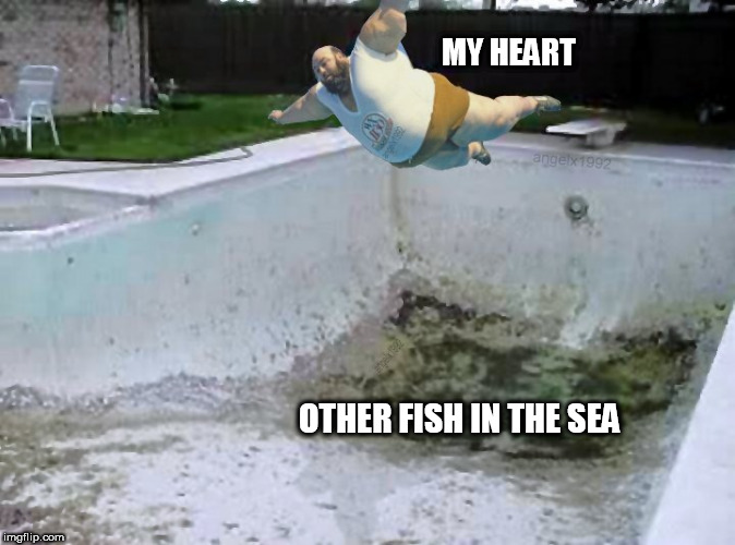 belly plop | MY HEART; OTHER FISH IN THE SEA | image tagged in belly plop,heart,dating,love,relationships,romance | made w/ Imgflip meme maker