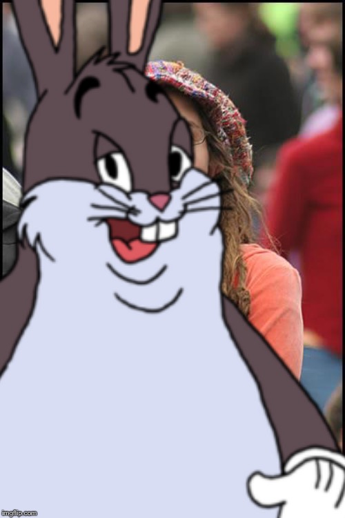 When you’re about to post a poignant and wonderfully satirical political meme but then Bugs Bunny steps in front of it | image tagged in college liberal,big chungus | made w/ Imgflip meme maker