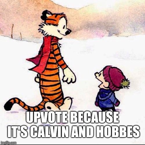 Calvin and hobbs | UPVOTE BECAUSE IT'S CALVIN AND HOBBES | image tagged in calvin and hobbs | made w/ Imgflip meme maker