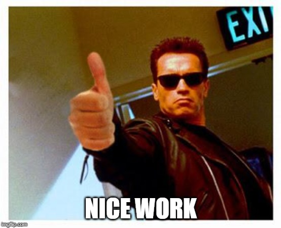 terminator thumbs up | NICE WORK | image tagged in terminator thumbs up | made w/ Imgflip meme maker