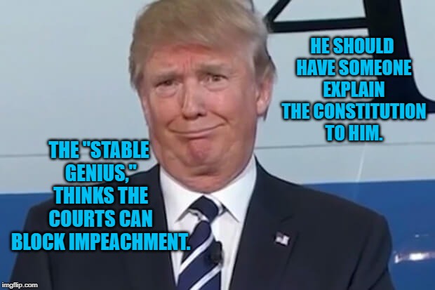 donald trump | THE "STABLE GENIUS," THINKS THE COURTS CAN BLOCK IMPEACHMENT. HE SHOULD HAVE SOMEONE EXPLAIN THE CONSTITUTION TO HIM. | image tagged in donald trump | made w/ Imgflip meme maker