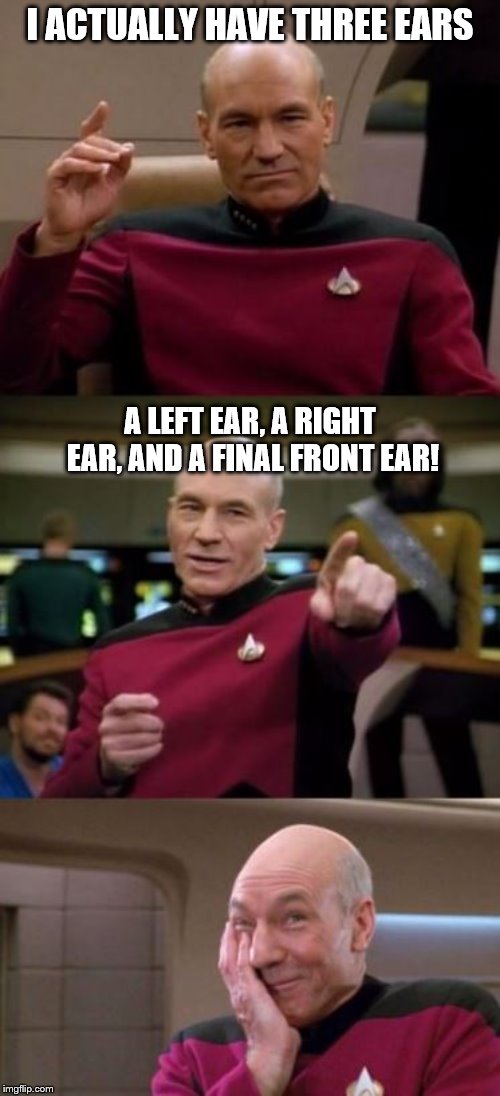The Three Ears |  I ACTUALLY HAVE THREE EARS; A LEFT EAR, A RIGHT EAR, AND A FINAL FRONT EAR! | image tagged in picard pun,bad puns,puns,captain picard,memes | made w/ Imgflip meme maker
