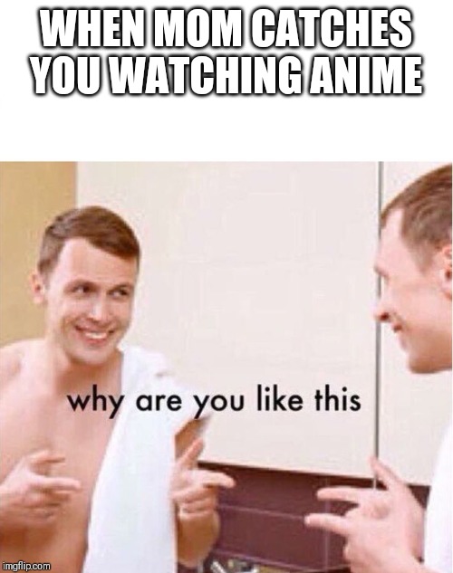 why are you like this | WHEN MOM CATCHES YOU WATCHING ANIME | image tagged in why are you like this | made w/ Imgflip meme maker