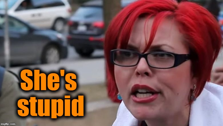  triggered | She's stupid | image tagged in triggered | made w/ Imgflip meme maker