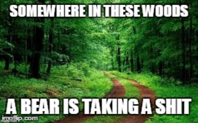They DO in the Woods! | image tagged in bear | made w/ Imgflip meme maker