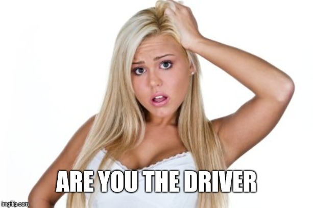 Dumb Blonde | ARE YOU THE DRIVER | image tagged in dumb blonde | made w/ Imgflip meme maker
