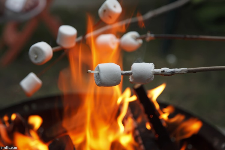 Roasting marshmellows | image tagged in roasting marshmellows | made w/ Imgflip meme maker