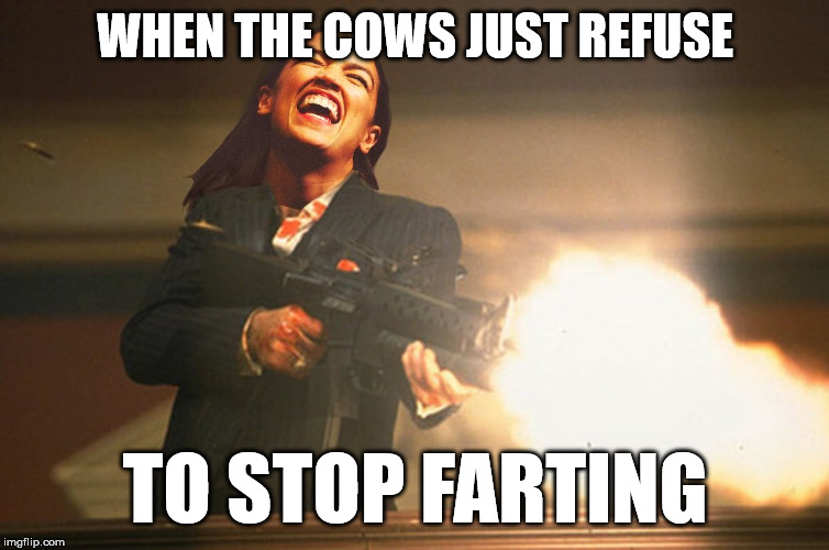 AOC Cow Carnage | WHEN THE COWS JUST REFUSE; TO STOP FARTING | image tagged in cows,climate change,farting,greenhouse gas,guns,scarface meme | made w/ Imgflip meme maker