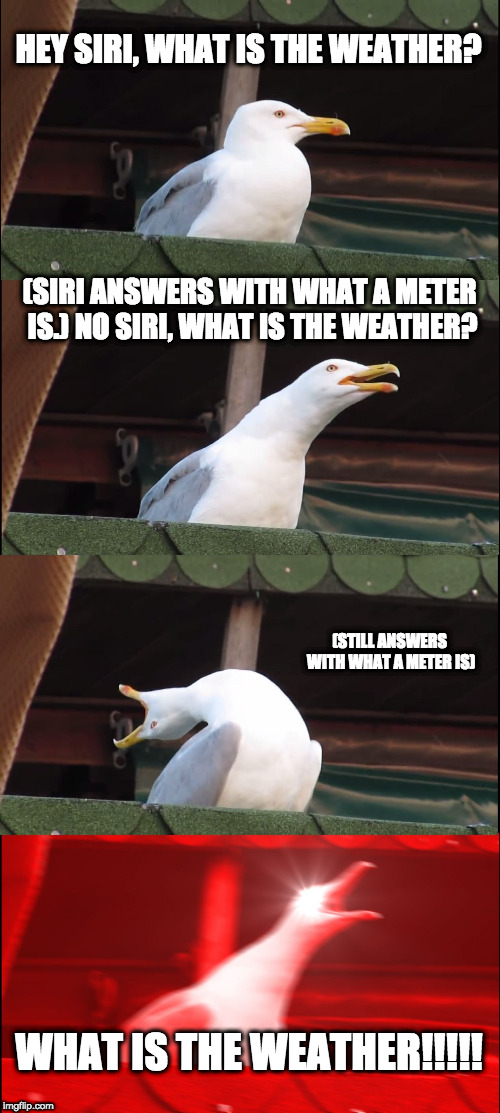 Inhaling Seagull | HEY SIRI, WHAT IS THE WEATHER? (SIRI ANSWERS WITH WHAT A METER IS.) NO SIRI, WHAT IS THE WEATHER? (STILL ANSWERS WITH WHAT A METER IS); WHAT IS THE WEATHER!!!!! | image tagged in memes,inhaling seagull | made w/ Imgflip meme maker