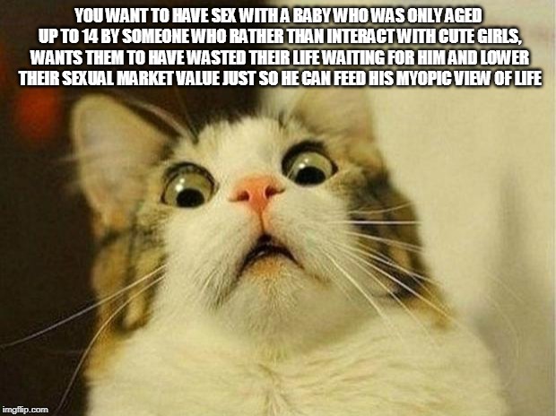 YOU WANT TO HAVE SEX WITH A BABY WHO WAS ONLY AGED UP TO 14 BY SOMEONE WHO RATHER THAN INTERACT WITH CUTE GIRLS, WANTS THEM TO HAVE WASTED T | image tagged in memes,scared cat | made w/ Imgflip meme maker