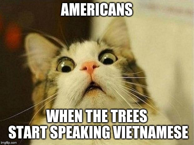 Scared Cat Meme | AMERICANS; WHEN THE TREES START SPEAKING VIETNAMESE | image tagged in memes,scared cat | made w/ Imgflip meme maker