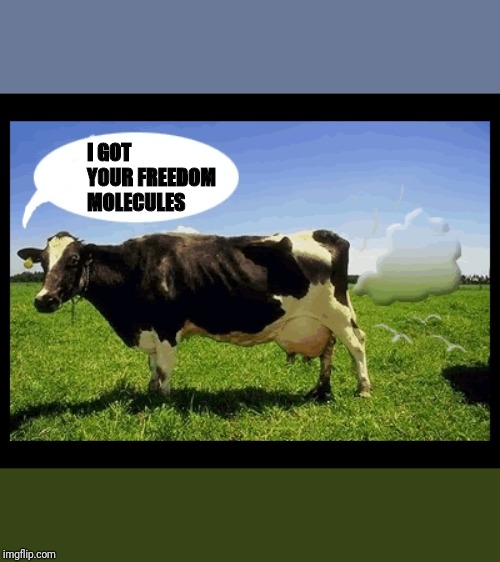Freedom molecules | I GOT YOUR FREEDOM MOLECULES | image tagged in cowfarts,freedom molecules | made w/ Imgflip meme maker