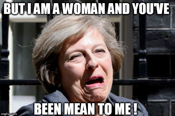 Theresa May UKIP PM Brexit | BUT I AM A WOMAN AND YOU'VE; BEEN MEAN TO ME ! | image tagged in theresa may ukip pm brexit | made w/ Imgflip meme maker