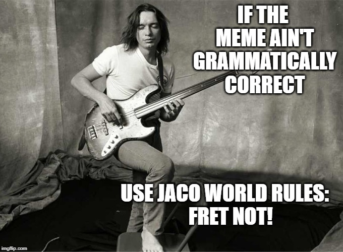 IF THE MEME AIN'T GRAMMATICALLY CORRECT; USE JACO WORLD RULES:           
FRET NOT! | made w/ Imgflip meme maker