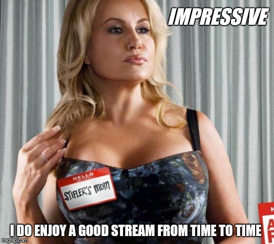 Momma likes | IMPRESSIVE; I DO ENJOY A GOOD STREAM FROM TIME TO TIME | image tagged in stiffler's mom,milf,stream | made w/ Imgflip meme maker