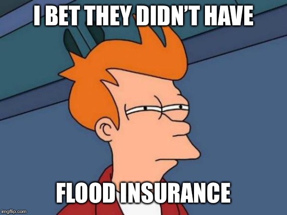 Futurama Fry Meme | I BET THEY DIDN’T HAVE FLOOD INSURANCE | image tagged in memes,futurama fry | made w/ Imgflip meme maker