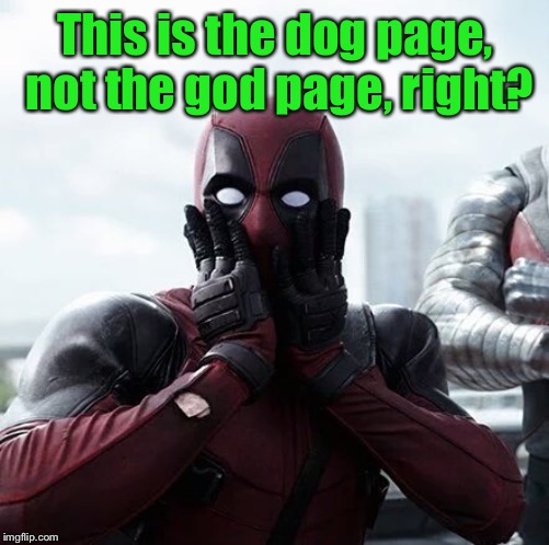 Oops!  Sorry, folks. | This is the dog page, not the god page, right? | image tagged in memes,deadpool surprised,dog page,god page,mistake,funny memes | made w/ Imgflip meme maker