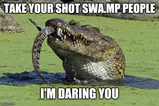 Cannibal Croc | TAKE YOUR SHOT SWA.MP PEOPLE; I'M DARING YOU | image tagged in cannibal croc | made w/ Imgflip meme maker