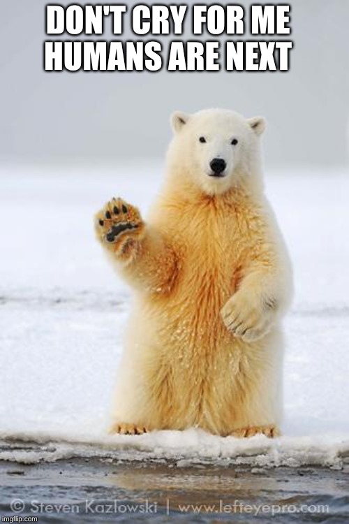 hello polar bear | DON'T CRY FOR ME; HUMANS ARE NEXT | image tagged in hello polar bear | made w/ Imgflip meme maker