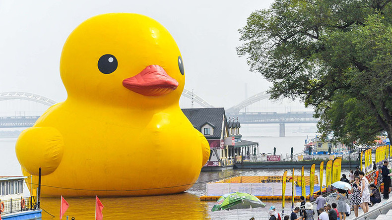 Giant Rubber Duck Blank Meme Template