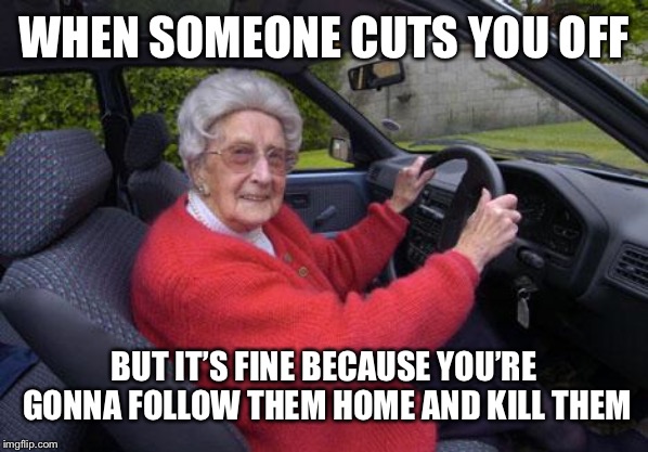 old lady driver | WHEN SOMEONE CUTS YOU OFF; BUT IT’S FINE BECAUSE YOU’RE GONNA FOLLOW THEM HOME AND KILL THEM | image tagged in old lady driver | made w/ Imgflip meme maker
