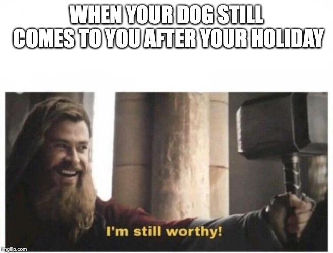 I'm still worthy | WHEN YOUR DOG STILL COMES TO YOU AFTER YOUR HOLIDAY | image tagged in i'm still worthy | made w/ Imgflip meme maker