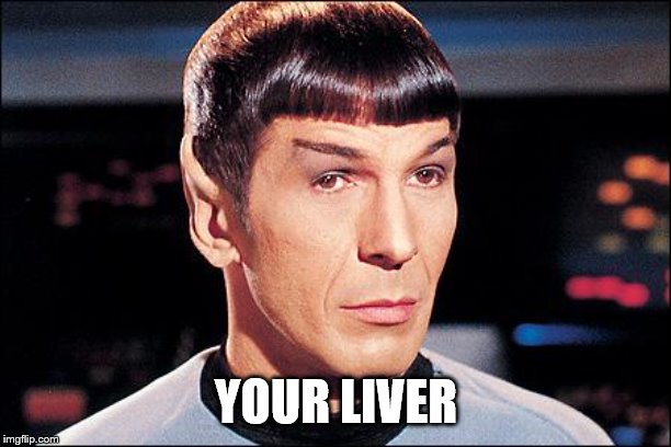 Condescending Spock | YOUR LIVER | image tagged in condescending spock | made w/ Imgflip meme maker