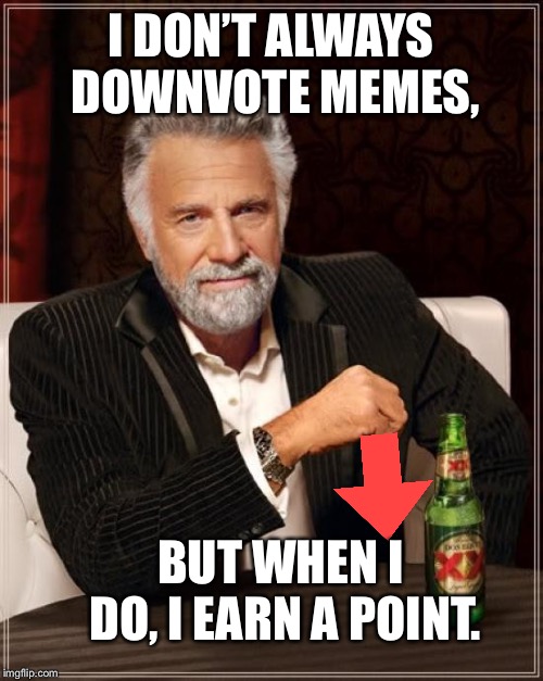 The Most Interesting Man In The World Meme | I DON’T ALWAYS DOWNVOTE MEMES, BUT WHEN I DO, I EARN A POINT. | image tagged in memes,the most interesting man in the world | made w/ Imgflip meme maker