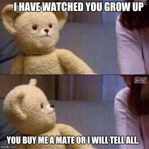 Teddy Thug Life | I HAVE WATCHED YOU GROW UP; YOU BUY ME A MATE OR I WILL TELL ALL. | image tagged in what teddy bear,thug life,teddy bear blackmail,it could happen,g-morning raydog,laugh | made w/ Imgflip meme maker