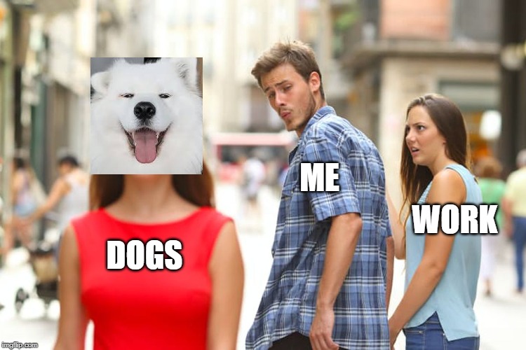 Distracted Boyfriend | ME; WORK; DOGS | image tagged in memes,distracted boyfriend | made w/ Imgflip meme maker
