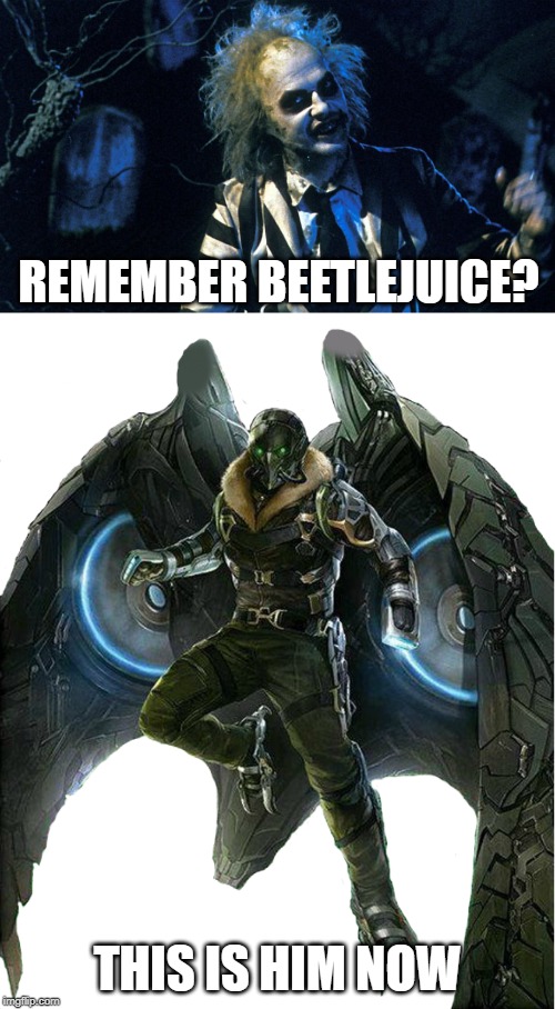 Beetlejuice, beetlejuice bee... What? | REMEMBER BEETLEJUICE? THIS IS HIM NOW | image tagged in beetlejuice,vulture | made w/ Imgflip meme maker