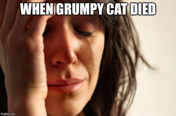 First World Problems | WHEN GRUMPY CAT DIED | image tagged in memes,first world problems | made w/ Imgflip meme maker